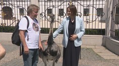 Po Bratislave sa prechádzal pštros, s ktorým sa odfotila aj ministerka Kolíková. Toto je príbeh jeho majiteľa