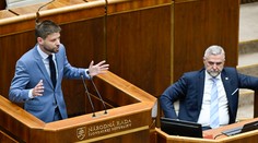 Riešite iba osobnú pomstu, som ten, ktorý vás vo voľbách porazí, odkázal Šimečka Ficovi