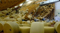 Zlomený regál spustil domino efekt: Muž zomrel pod tonami syra Grana Padano