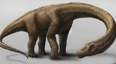 Unikátny nález: Našli kostrové pozostatky najväčšieho dinosaura