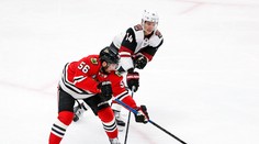 VIDEO: Pánik prispel gólom k triumfu Arizony, "kojoti" aktuálne na postupovej priečke