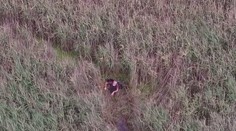 Muž uviaznutý v močiari mal obrovské šťastie. Zázračne prežil vďaka dronu