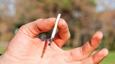 Tresty za marihuanu sa budú na Slovensku meniť, naznačila ministerka Kolíková