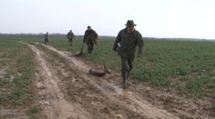 Poľovníkov šokoval jed, ktorý otrávil polovicu populácie srnčej zveri