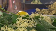 Mrkvové cupcakes s pekanovými orechmi