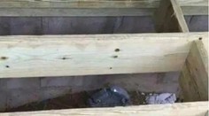 Majiteľka pripravila budúcim majiteľom morbídne prekvapenie. Jej nápad ľudia ocenili