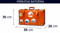 Príručná batožina do lietadla bude menšia. Takto má vyzerať