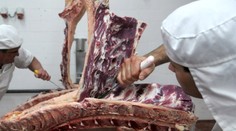 Firma z kauzy poľského mäsa prepustila polovicu zamestnancov. Tovar nechcú ani veľké reťazce