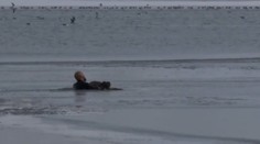 Policajt zachránil podchladené a vysílené šteniatko v poslednej chvíli