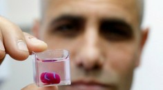 Prelomový objav: Vedci vytlačili 3D srdce z tkaniva a ciev