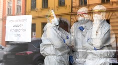 Skríning je jediné rozumné riešenie, ku ktorému vo vláde dospeli, myslí si virológ