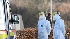 Pred mesiacom sa trápili, dnes sa opatrne tešia. V týchto okresoch je covid na ústupe