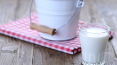 Kravské mlieko: Zistite, či je naozaj pre dospelých škodlivé alebo ide len o predsudok