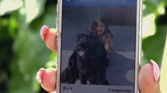 Prípad dôchodcu, ktorý ťahaním za autom zabil svojho psa, polícia vidí ako priestupok