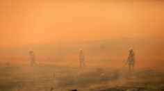 „Čierne leto“ Austrálie sa skončilo. Hasiči hlásia, že majú oheň pod kontrolou