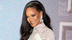 Vykradli Rihannu a chystali sa aj do domu Matta Damona. Lupičov zadržala polícia