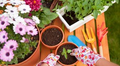 Jarné teploty nenechajú sedieť doma žiadneho záhradkára