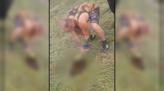 Šokujúce zábery z Trenčína: Muži chceli zranenú mačku doraziť sekerou