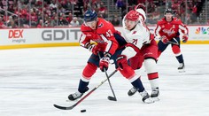 Štyria Slováci v zápasoch NHL, nebodoval ani jeden