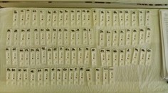 Zisťovali sme, aké sú priebežné výsledky plošného testovania v rizikových zariadeniach