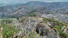 Požiar v Českom Švajčiarsku by mohli úplne uhasiť do týždňa