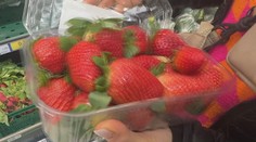 V škole na Kysuciach dostali deti jahody kontaminované žltačkou. Štát spúšťa veľkú kontrolu