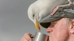 Dvaja opilci vystrájali v zoo. Zabili vzácne vtáky, chceli si opiecť aj laň