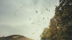 Cez víkend zasiahne Slovensko intenzívny dážď. V ohrození sú tieto okresy