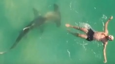 VIDEO: Dron zachytil dychberúci moment. Žralok krúžil okolo ničnetušiaceho plavca