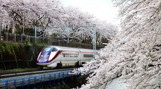 Japonské vlaky začali miesto trúbenia štekať ako psy