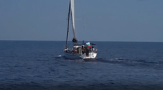 Kapitán lode zachránil šesť mačiatok