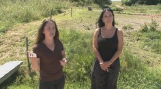 Majiteľka vypátrala cez inzerát ukradnutého koňa. Našla ho až v Rumunsku