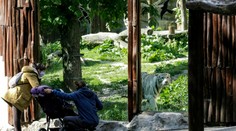 FOTOGALÉRIA: Krajina sa otvára. Pozrite sa, ako to vyzerá na Slovensku po uvoľnení opatrení