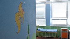 V košickej detskej nemocnici bojujú so žltačkou, kapacita je plná