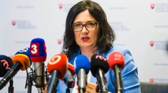 SNS chce podľa SaS zlikvidovať súčasné vedenie SAV, Lubyová to odmieta