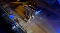 VIDEO: Stádo diviakov si vykračovalo po bratislavskom Bôriku. Polícia radí, čo určite nerobiť