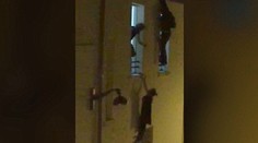 Príbeh tehotnej ženy, ktorá visela počas útoku v Paríži z okna