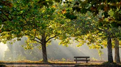 Jeseň sa začala tropicky. V polovici septembra príde zlom