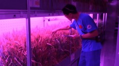 Číňania majú za sebou šialený experiment, bežný človek by sa asi zbláznil