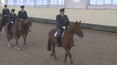 Do dôchodku vyprevadili najstaršiu policajnú kobylu na Slovensku. Rozlúčka nebola jednoduchá