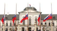 Už sa môžete začať rozhodovať. Isté to má  7 kandidátov