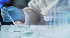 V tejto krajine prudko stúpajú úmrtia na covid. Za posledný mesiac až o 40 percent