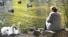 Babie leto k nám predsa len dorazí. Teploty vyskočia poriadne nahor