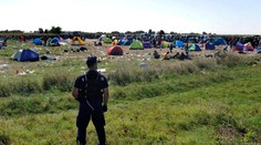 Maďari zavádazjú prísne zmeny týkajúce sa migrantov. Minister obrany odstúpil