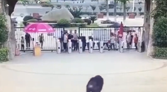 Ako z Planéty opíc: Šimpanz sa dostal von z klietky a naháňaľ ľudí v zoo. Schytal to jeden muž