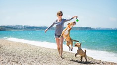 Pred dovolenkou pri mori myslite na miláčikov. Niektoré parazity z tejto oblasti sú smrteľné