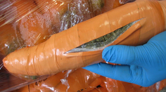 15 najbizarnejších pašeráckych nezdarov roka