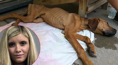 Reality hviezda vyhladovala šteňa na kosť. Skončila vo väzení!