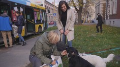 Unikát na Slovensku: V Košiciach jazdí autobus, ktorý zbiera darčeky pre opustených chlpáčov