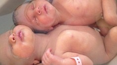 Pomáhala im na svet, potom s nimi kšeftovala